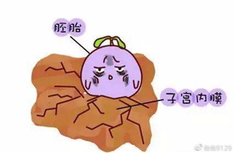 国内第三代代孕宝宝拉稀可以吃什么